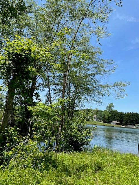 LOT 3A TRANQUIL POINTE, HIAWASSEE, GA 30546, photo 1 of 7
