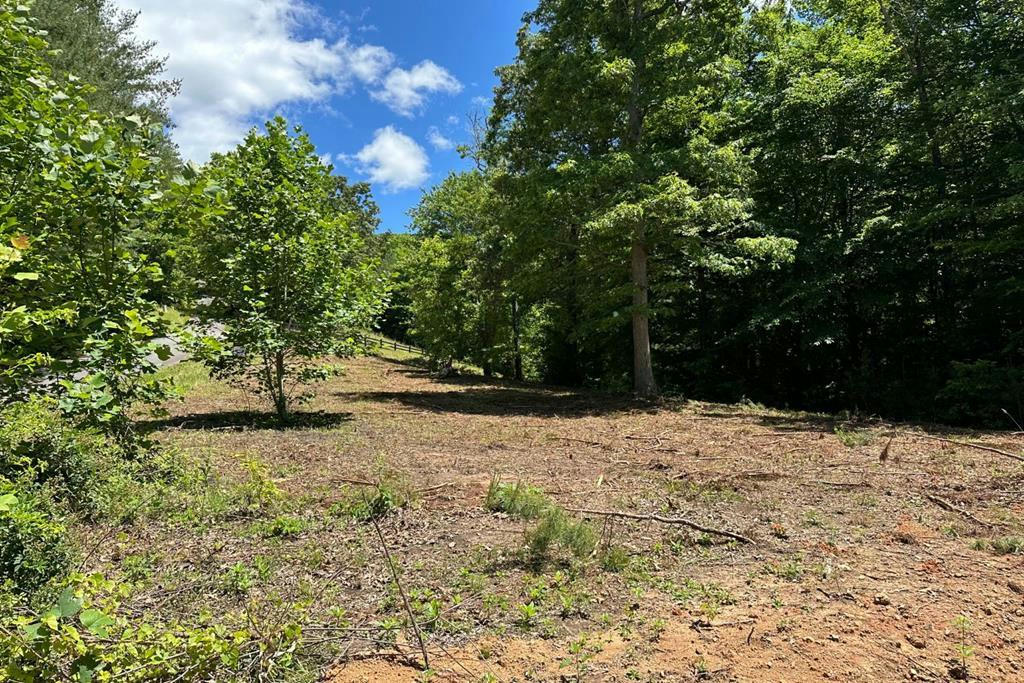 LOT 8 MOORE ACRES, HAYESVILLE, NC 28904, photo 1 of 26