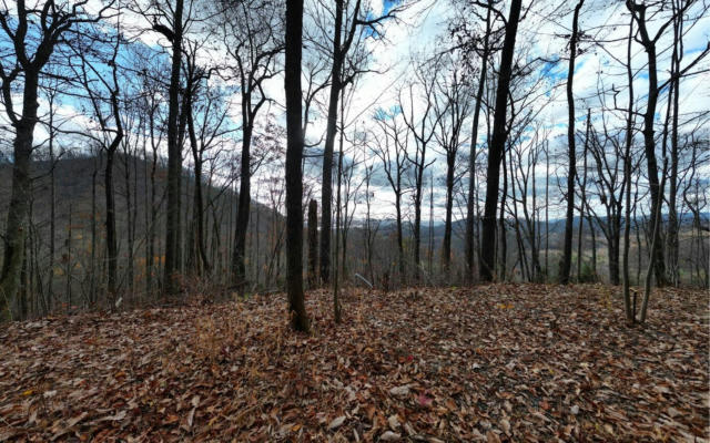 LOT32 HIGH MEADOWS, HAYESVILLE, MS 38904, photo 2 of 26