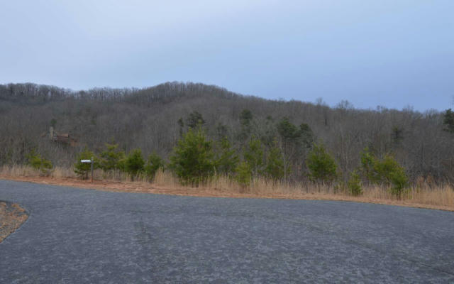 LOT 2 THE PRESERVE AT BEACH MOUNTAIN, BRASSTOWN, NC 28904, photo 4 of 8