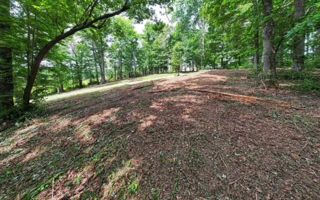 LOT 91 THE PRESERVE LOT 91, YOUNG HARRIS, GA 30582, photo 2 of 23