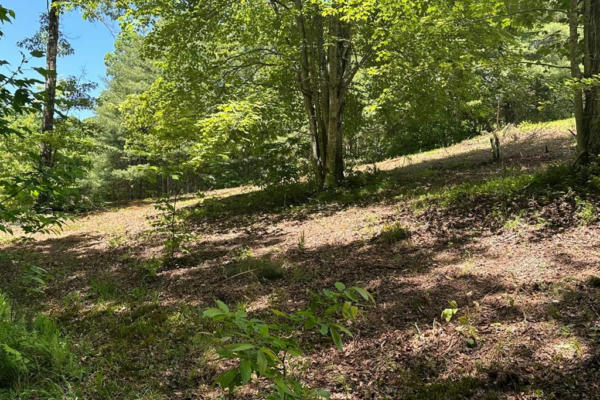 LOT 8 MOORE ACRES, HAYESVILLE, NC 28904, photo 3 of 26