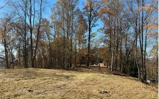 LOT18 PENLAND INDIAN TRAIL, HAYESVILLE, NC 28904, photo 4 of 7