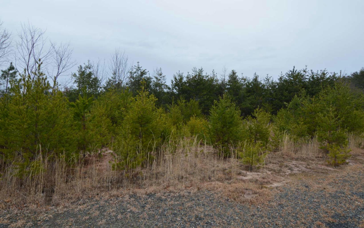 LOT 2 THE PRESERVE AT BEACH MOUNTAIN, BRASSTOWN, NC 28904, photo 1 of 8