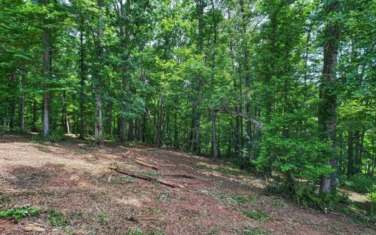LOT 91 THE PRESERVE LOT 91, YOUNG HARRIS, GA 30582, photo 1 of 23