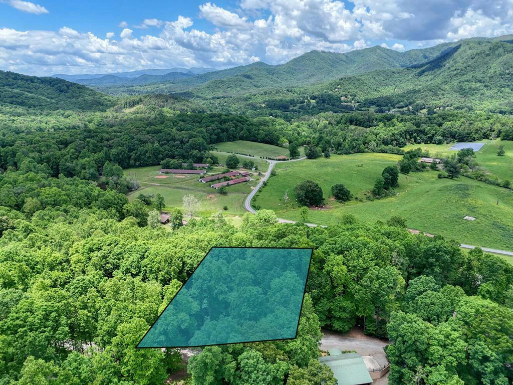 96 SHILOH DR, HAYESVILLE, NC 28904, photo 1 of 19