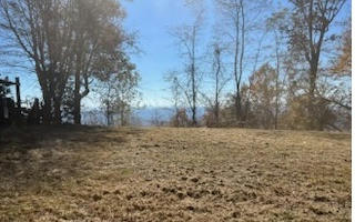 LOT18 PENLAND INDIAN TRAIL, HAYESVILLE, NC 28904, photo 3 of 7